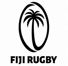 Image result for Fiji Football Association