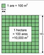 Image result for Hectares Meaning
