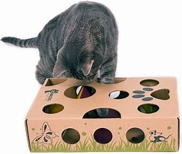Image result for Chewy Interactive Cat Toys