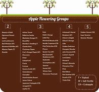 Image result for Apple Pollinators List