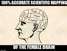 Image result for The Female Brain Meme Generator