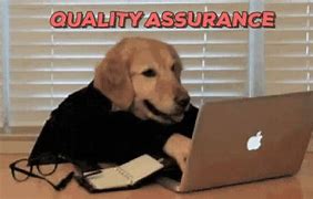 Image result for Quality Control Dog Meme