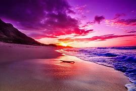 Image result for Colorful Beach Background
