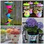 Image result for Flower Pot Gift Ideas