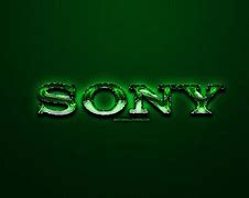 Image result for Sony USA