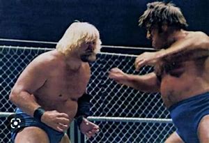 Image result for 70s WWF