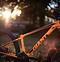 Image result for 26 Inch Giant Mountain Bike