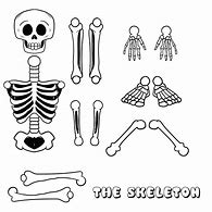 Image result for Skeleton Cutouts
