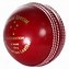 Image result for Cricket Bat and Ball JPEG