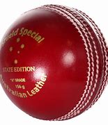 Image result for Kids Cricket