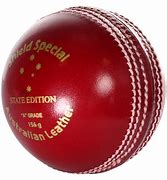 Image result for Rlcraft Cricket Thing