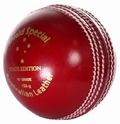 Image result for Cricket Bat Leather Ball