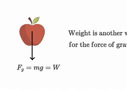 Image result for Is Weight a Force