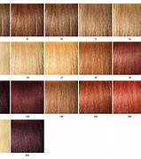 Image result for Hair Color Chart