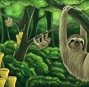 Image result for Sloth Bear Art