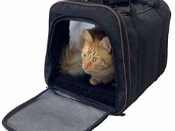 Image result for Chonker Cat Carrier