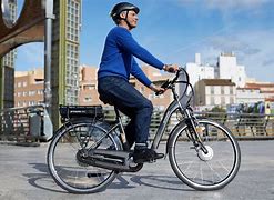 Image result for Electric Bike 900-Pound