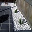 Image result for White Decorative Pebbles
