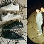 Image result for Adidas Most Popular Shoes