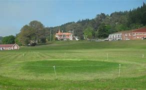 Image result for Cricket Field New Forest