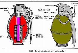 Image result for Grenade Diagram