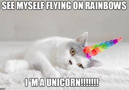 Image result for Kitty Rainbow Unicorn Meme