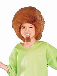 Image result for Shaggy Costume for Kids