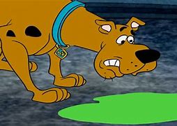 Image result for Scooby Doo the Case