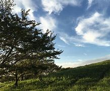 Image result for iPhone 6s Plus 旅行写真