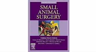 Image result for Animal Surgery Meme