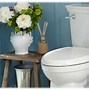 Image result for Top Pull Flush Toilet
