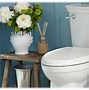 Image result for Air Flush Toilet