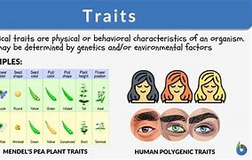 Image result for Facts and Characteristics