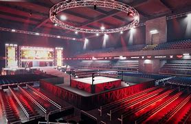 Image result for Pro Wrestling Arena