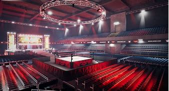Image result for Arena Wrestling Federation
