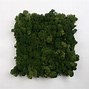 Image result for Moss Panels