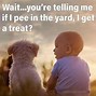 Image result for Funniest Memes Today