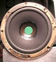 Image result for How to Clean Speaker Cone