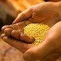 Image result for Gold Purity