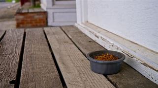 Image result for Blue Buffalo Cat Food