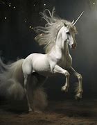 Image result for Wide Unicorn