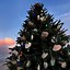 Image result for New Jersey Mall Chrismas Tree