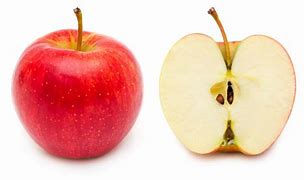 Image result for Apple Fruit Half