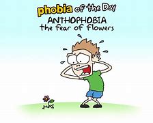 Image result for New Phobia Acquired Meme