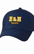 Image result for Emory and Henry Wasps Logo