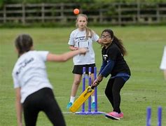 Image result for Cricket and Ruun Around