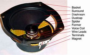 Image result for Parts of a Speaker Cone