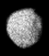 Image result for Uranus Moon Puck