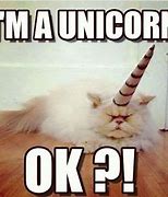 Image result for Clean Fluffy Unicorn Memes