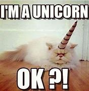 Image result for Funny Unicorn Memes Clean